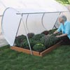 Hobby Greenhouses - Patio Growhouses - Flip-Top Cold Frames