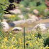 Lawn &amp;amp; Garden - Lawn Sprinklers - Telescoping Brass Sprinkler