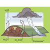 Lawn &amp;amp; Garden - Composters &amp; Rain Barrels - Compostex Compost Covers