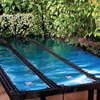 Lawn &amp; Garden - Seed Germination & Planting