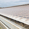 Greenhouse Covering - Polycarbonate Panels - Corrugated Polycarbonate and Accessories