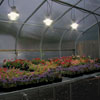 Greenhouse Accessories - Grow Lights & Accessories
