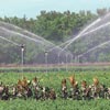 Lawn &amp;amp; Garden - Lawn Sprinklers - Senninger Impact Sprinklers
