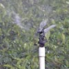 Irrigation &amp; Watering Supplies - Netafim Greenhouse & Nursery Irrigation Components