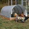 Temporary Storage Buildings - ClearSpan Value Line - ClearSpan Mini Grab Bag Shelters