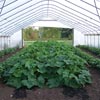 Gro-Max Gothic Tall High Tunnel - 20'W x 14'H x 24'L 