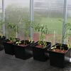Growing Supplies - Hydroponic Systems - Hydroponic Pots, Trays &amp; Reservoirs - PolyMax® Dutch Buckets & Accessories