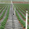 Irrigation &amp; Watering Supplies - Drip Irrigation Systems