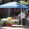 Greenhouses &amp;amp; High Tunnels - Canopies &amp; Tents - Foldable Gazebos and Pop-Up Canopies  