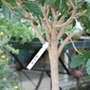 Plant Supports &amp; Accessories - White Vinyl Tree Tags - Case of 1,000