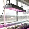 Hydroponic Systems - Hydroponic Grow Lights