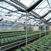 Greenhouse Heaters - Greenhouse Heating Solutions