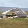 Greenhouses &amp;amp; High Tunnels - Temporary Storage Buildings - Brute Buildings