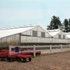 Commercial Greenhouses - Engineered Greenhouses