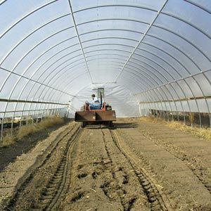 Greenhouse & Tunnel Supplies