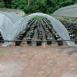 Home - Greenhouse Kits, Commercial & Hobby Greenhouses and Hydroponic ...