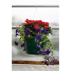 Hanging Basket Saucerless - 14"D x 8.25"H Green