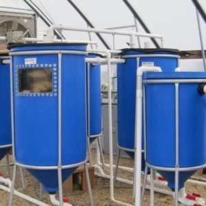 15-Gallon Tank w/Conical-Bottom