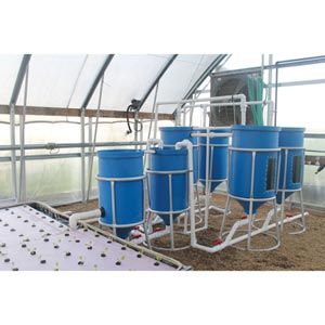 15-Gallon Tank w/Conical-Bottom