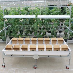 Shop Rolling Bench w/ Propagation Tray - 4'W x 8'L