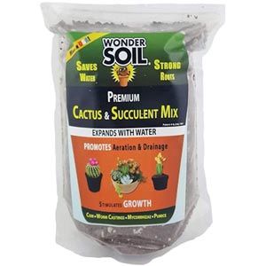 succulent mold Haworthia Succulent Mold main image 0