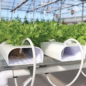 HydroCycle Commercial NFT System - 30'W X 96'L