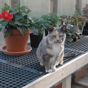 PolyMax Poultry/Kennel Flooring Overlapping Growers Supply