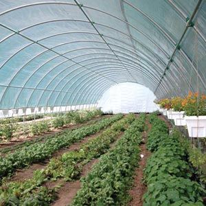 High Tunnels
