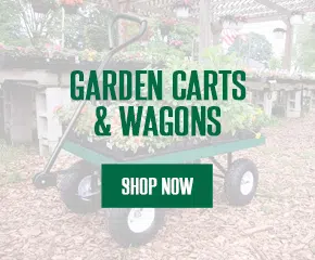 Carts and Wagons