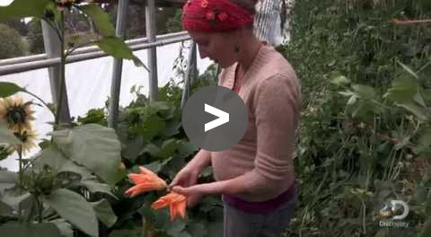 Alaska: The Last Frontier features Growers Supply High Tunnels - YouTube Video