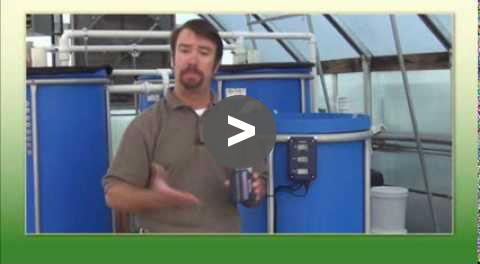 Aquaponic Tips - Understanding the water in Aquaponics - YouTube Video