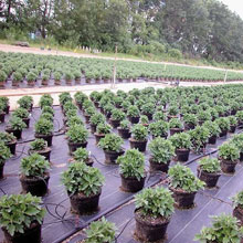 Heavy-Duty Ground Cover - Growers Supply