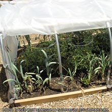High Altitude Vegetables with Mini Cold Frames - Growers Supply