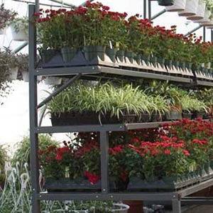 EZ-Grow 3-Level Plant & Display Bench - On Sale