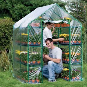  - Mini Greenhouses & Cold Frames