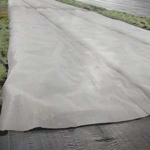 Starfoam Anti-Frost / Insulation Blanket - 6'W x 175'L