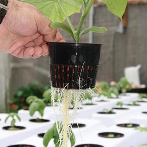 Closeout Hydroponic Supplies & Accessories