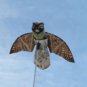  - Prowler Owl Decoy