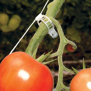 Trellis Plant Clips Details about   40x 10M Vegetable Tomato Hooks with Twine Tomato Clips 