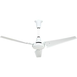  - Heavy-Duty Indoor/Outdoor Ceiling Fan - 60" - On Sale