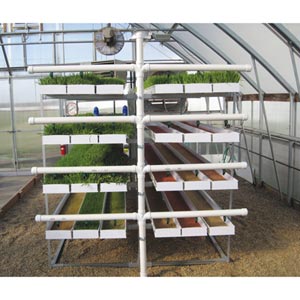 Expanded Mini FodderPro 2.0 Feed System