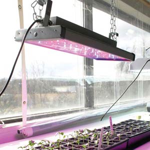 hydroponic air diffusion systems, hydroponic system