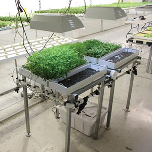 HydroCycle 9" Pro Microgreen Table