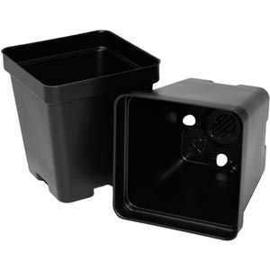 Press and Fit Pots - Case of 450