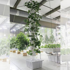 HydroCycle 4'8&quot; Vertical Micro Aeroponic System