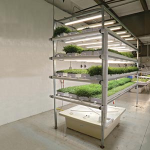 HydroCycle Pro Vertical Microgreen System - 5'L