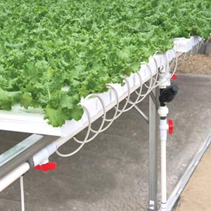 HydroCycle 4&quot; Commercial NFT Lettuce System - 30'W x 48'L
