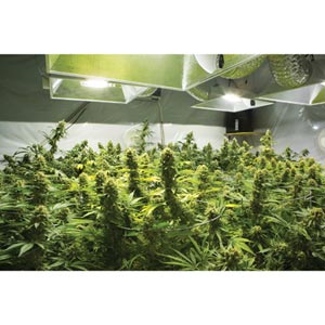  - Hydroponic Systems & Accessories