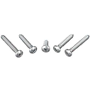 Philips Head Stainless Steel Tapping Screw - #10 x 2"