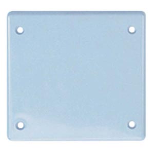 PVC Double Gang Blank Cover